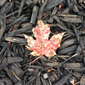 Meet your Posher, Ken